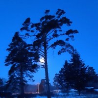 Лунные истории :: Галина Минчук