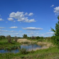 Донские зарисовки. :: Виктор 
