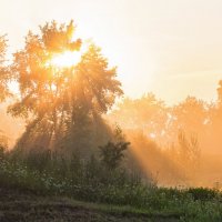 Ранее утро в окрестностях Ухты :: Николай Зиновьев Ранее утро в окрестностях Ухты :: Николай Зиновьев