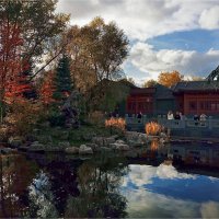 В парке с китайскими мотивами... :: Ирина С
