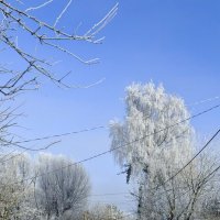 «Серебряная вуаль зимы» :: Арина Невская