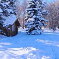 После снегопада :: Надежда 