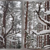 Дирижёр и муза. :: Юрий 