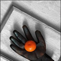 Контрасты :: Наталья S