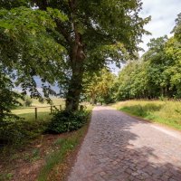 По брусчатке... :: Николай Гирш