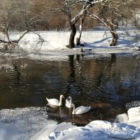 Февраль на реке :: Игорь Сычёв