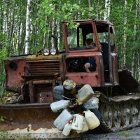 Где то в лесах Карелии :: Андрей C