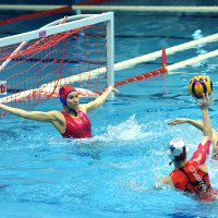 Опасный момент у ворот! :: Александр Гриднев