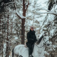 Прогулка по зимнему лесу :: Дмитрий 