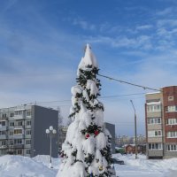 Теперь уж до апреля :: Сергей Цветков