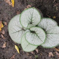 про Екатеринбург :: Елена Шаламова