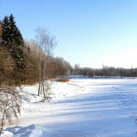 Зима в начале февраля. :: Милешкин Владимир Алексеевич 