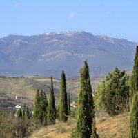 Пейзаж с кипарисами :: Геннадий Валеев