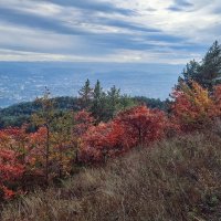 Однажды осенью :: Мариша 