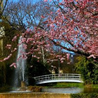 Весна в Баден-Бадене :: Юрий. Шмаков