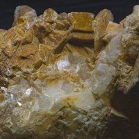 Кварц :: Giant Tao /