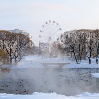 Февраль гуляет в парке :: Анастасия Логинова