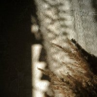 * :: Сергей Полянский