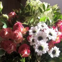 БУКЕТ :: Елена Семигина