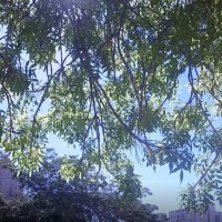 13  ОПЕН (883) :: OPEN WAYS ALL