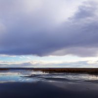 Талый снег налетал и слетал  © :: Hope 