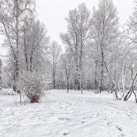 Замело :: Евгений 