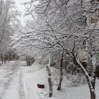 Зимним днем :: Елена Семигина