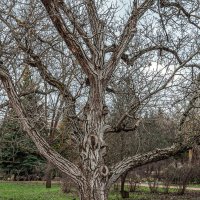 Во всей красе! :: Варвара 