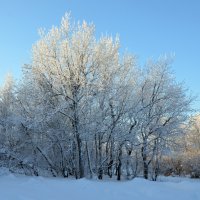 лесная сказка :: Сергей М 