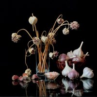 Чесночное настроение :: Валентина Богатко 