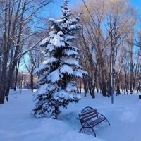 Зимний день :: Надежда 
