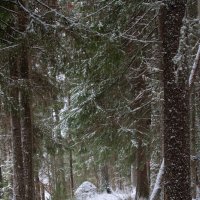 # :: Михаил Славный