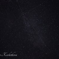 Природа Крыма :: Amazing Cosmea