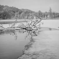 На водоеме :: Олег Загорулько