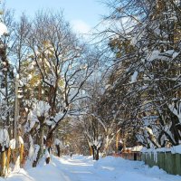 Дорога в зимней деревне :: Андрей Снегерёв