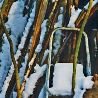 Южная зима - 28 :: Алексей Кузнецов