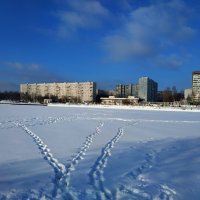 Февраль в Москве :: Андрей Лукьянов