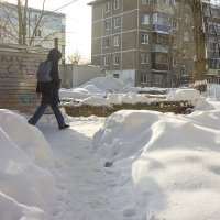 Шагающий :: Владимир Носов