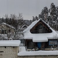 Постройки на фоне леса :: Юлия Денискина