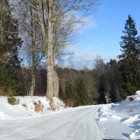 зимние пейзажи :: ИННА ПОРОХОВА