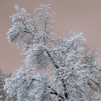 ...пока вот так... :: Александр Герасенков