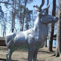 Олень :: Елена Сухорученкова