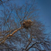 В ожидании новых жильцов :: Дмитрий Костоусов