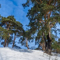 Февраль :: Наталья Rosenwasser