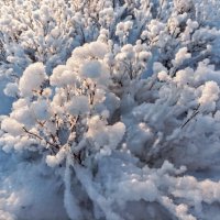 В парке Тондилоо :: Veera V