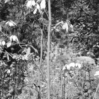 Фотография :: Денис Безногов