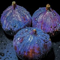 Инжир :: Aleksey Afonin