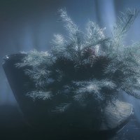 Праздники закончились. :: Владимир Владимир