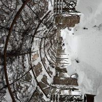 Зима в парке. :: Pippa 