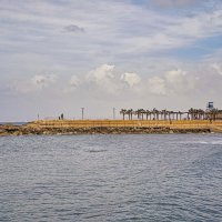 Израиль * Хайфа* Бат Галим. 2026г :: ujgcvbif 